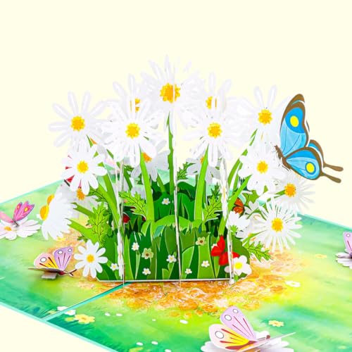 Favour Pop Up® - 3D Karte ein Bouquet von Gänseblümchen umgeben von einer Wiesenlandschaft, zum Geburtstag, zur Genesung oder als lieber Gruss. Mit Einschiebekarte zum Beschriften. TL098 von Favour Pop Up