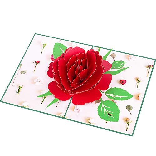 Favour Pop Up® - 3D Karte eine prachtvolle Rosenblüte, zum Geburtstag, zum Jubiläum, zur Genesung oder als lieber Gruss. Mit Einschiebekarte zum Beschriften. TL069 von Favour Pop Up