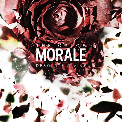 Desolate Divine [Vinyl LP] von FEARLESS RECORDS