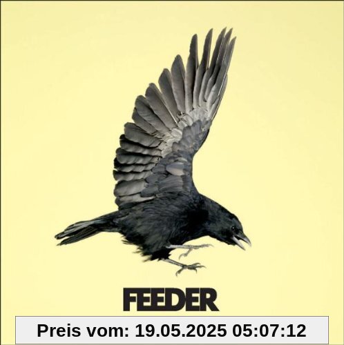 Silent Cry Silent Cry von Feeder