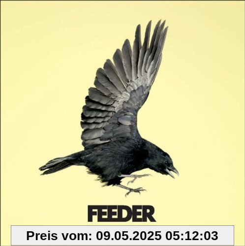 Silent Cry von Feeder