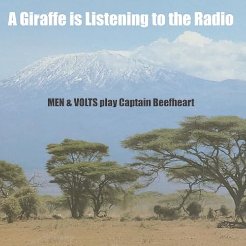 A Giraffe Is Listening to the [Vinyl LP] von Feeding Tube