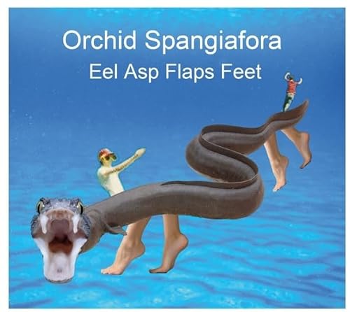 Eel Asp Flaps Feet von Feeding Tube