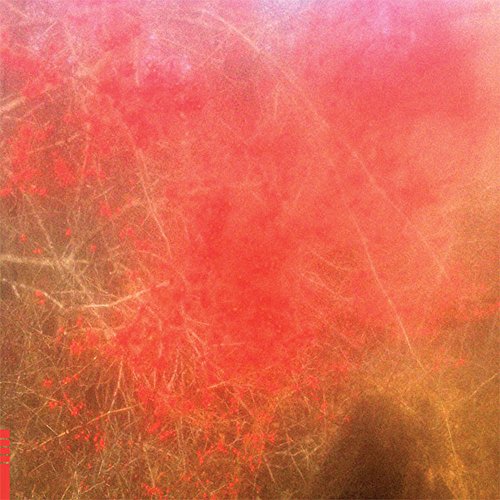 Foom & Foam [Vinyl LP] von Feeding Tube