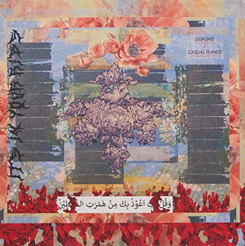 Its In Your Ribs [Vinyl LP] von Feeding Tube