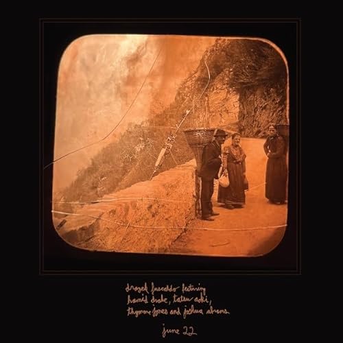 June 22 [Vinyl LP] von Feeding Tube
