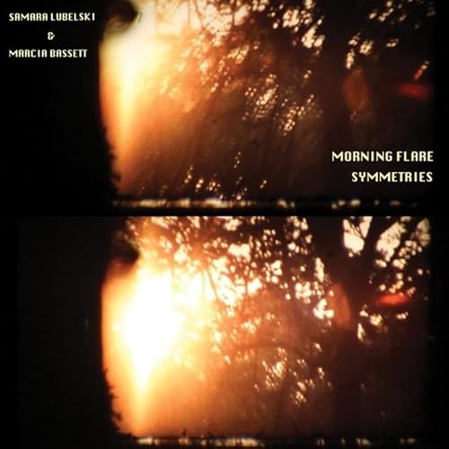 Morning Flare Symmetries [Vinyl LP] von Feeding Tube