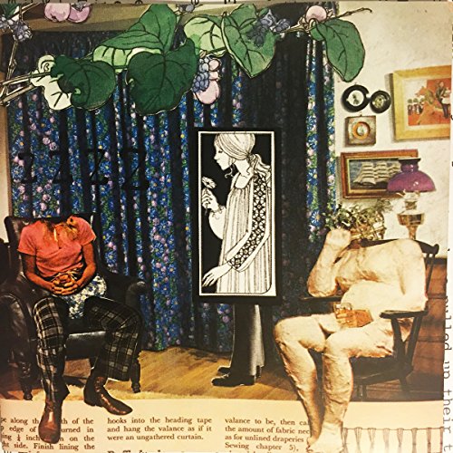 Sleepwalks in the Garden of Th [Vinyl LP] von Feeding Tube