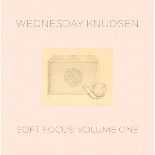 Soft Focus, Vol. 1 [Vinyl LP] von Feeding Tube