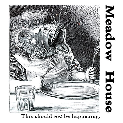 This Should Not Be Happening [Vinyl LP] von Feeding Tube