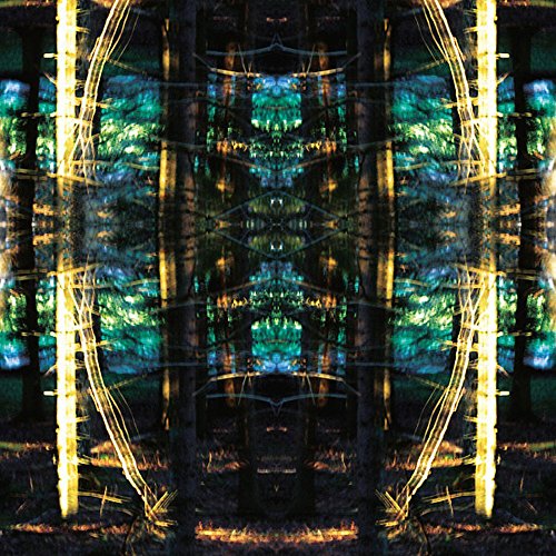 Valosta Valoon [Vinyl LP] von Feeding Tube
