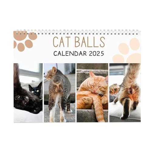 Katzen-Arschloch-Kalender 2025, Lustiger Katzenkalender 2025, Katzenbälle-Kalender 2025, Katzen-Wandkalender 12 Monate Familienkalender, Humorvolle Geschenke Für Katzenliebhaber von Fellflying