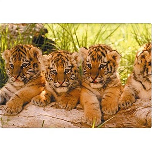 Fellowes Mouse pad Linea Cuccioli e WWF cuccioli di Tigre 40090 von Fellowes