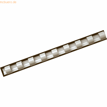 Fellowes Plastikbinderücken A4 21 Ringe 6mm weiß VE=25 Stück von Fellowes