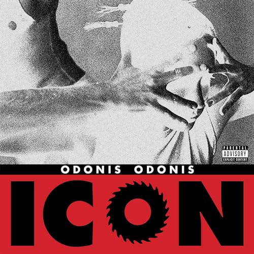 Icon (Red Vinyl) [Vinyl LP] von Felte / Cargo