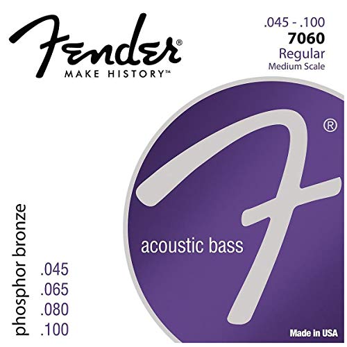 Fender Acoustic Bass 7060 45-95 Scale 30/32 von Fender