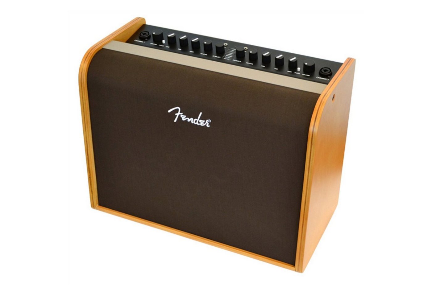 Fender Verstärker (Acoustic 100 - Akustikgitarren Verstärker) von Fender