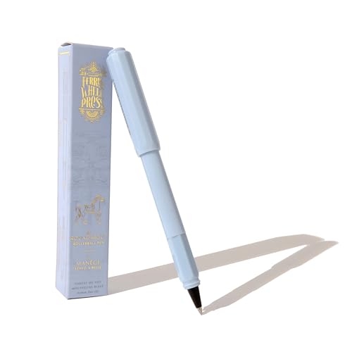 Ferris Wheel Press | Carousel Fountain Pen | Acrylic blend body | Air-sealed click locking cap | Forget Me Not | Light Blue | Fine Nib von Ferris Wheel Press