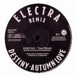 Destiny (Remix)/Autumn love (Future 4) [Vinyl Single] von Ffrr