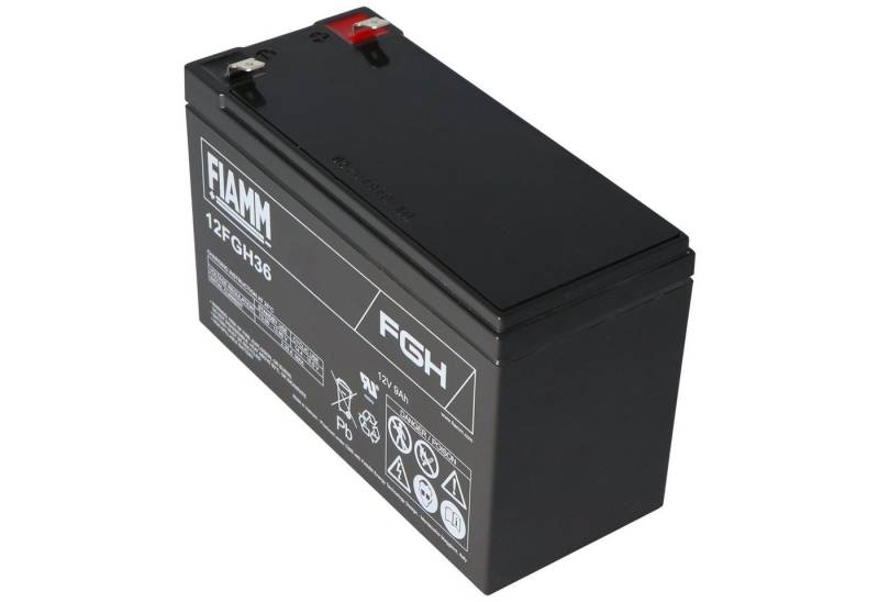 Fiamm Fiamm FGH20902 Akku Blei PB 12Volt 9Ah hochstromfeste Ausführung für Akku 9000 mAh (12,0 V) von Fiamm