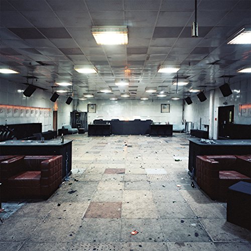 Moth Boys (Vinyl) [Vinyl LP] von Fiction