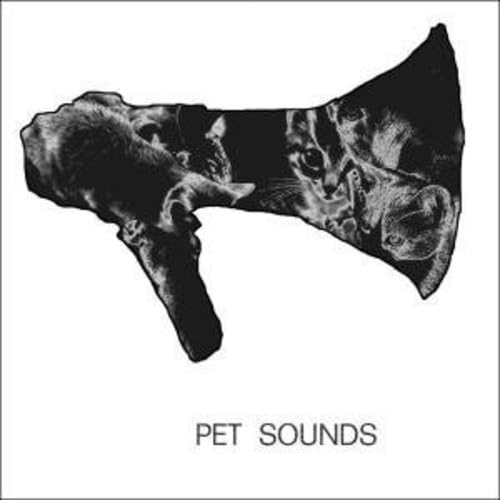 Pet Sounds Ep [Vinyl Single] von Fidel Bastro (Broken Silence)