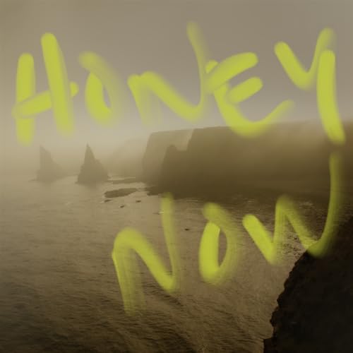 Honey Now [Vinyl LP] von Fierce Panda / Cargo