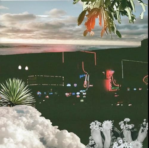 Hot Second With The Velveteins [VINYL] [Vinyl LP] von Fierce Panda
