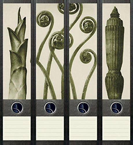 File Art AJ040 Design Etiketten Ordnerrückenschilder von The Art File