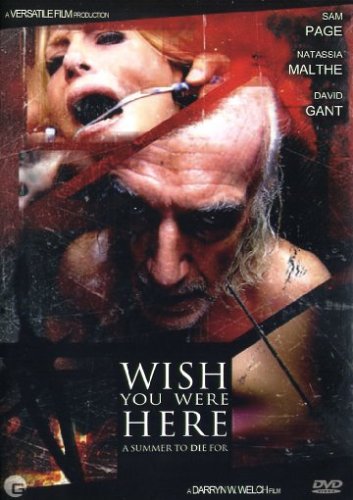 Wish you were here (+WMV) [2 DVDs] von Filmconfect Home Entertainment GmbH (Rough Trade)