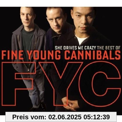 She Drives Me Crazy-The Best of von Fine Young Cannibals
