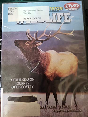 Yellowstone Teton Wildlife [DVD] [Region 1] [US Import] [NTSC] von Finley Holiday Film Corp.