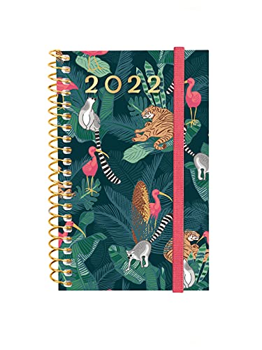 Finocam - Kalender 2022 Wochenansicht Landschaft Januar 2022 bis Dezember 2022 (12 Monate) E3-79 x 127 mm Spiralbindung Design Collection Schwalbenwald Katalanisch von Finocam
