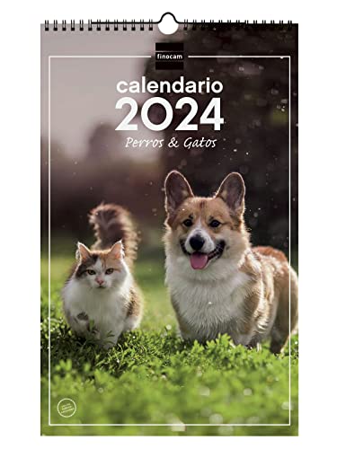 Finocam - Kalender 2024 Spiralwandbilder zum Schreiben Januar 2024 - Dezember 2024 (12 Monate) Spanische Hunde und Katzen von Finocam