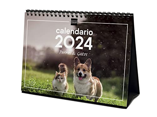 Finocam - Kalender 2024 Tischbilder zum Schreiben Januar 2024 - Dezember 2024 (12 Monate) Spanische Hunde und Katzen von Finocam