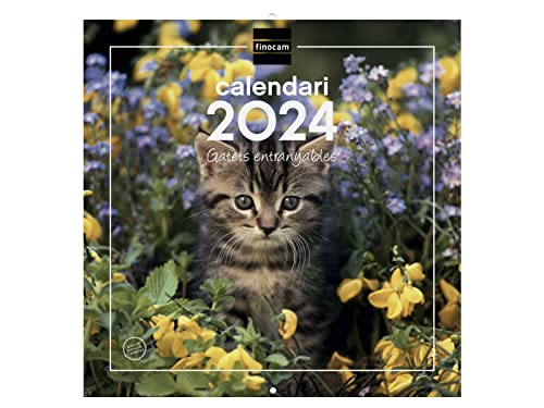 Finocam - Kalender 2024 Wandbilder 30x30 zum Schreiben Januar 2024 - Dezember 2024 (12 Monate) Katalanische Kätzchen von Finocam