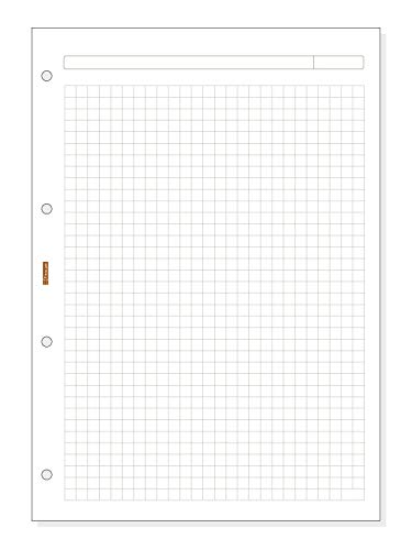 Finocam Open R4040 (DIN A4) - Weißer Karierter Kalender (50 Blätter, 70g/m²) von Finocam