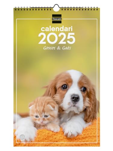 Finocam Wandkalender Spiralbindung zum Schreiben 2025 Monat Ansicht Januar 2025 - Dezember 2025 (12 Monate) Katalanische Hunde und Katzen von Finocam