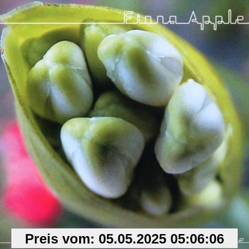 Extraordinary Machine Extraordinary Machine von Fiona Apple