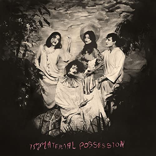 Immaterial Possession [Vinyl LP] von Fire Records / Cargo