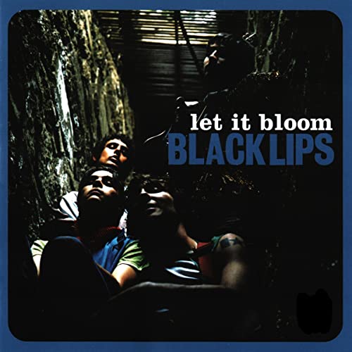 Let It Bloom [Vinyl LP] von Fire Records / Cargo