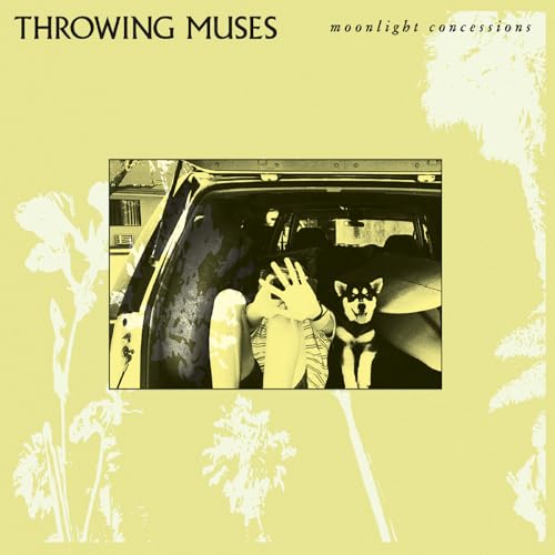 Moonlight Concessions [Vinyl LP] von 375 Media