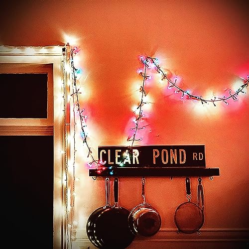 Clear Pond Road (Clear Vinyl) [Vinyl LP] von Fire Records