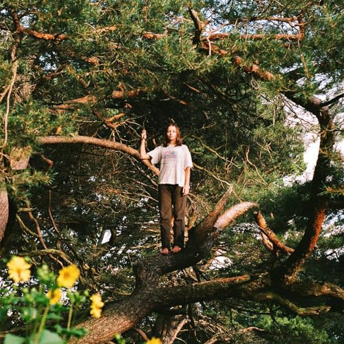 Melt the Honey [Vinyl LP] von Fire Talk (H'Art)