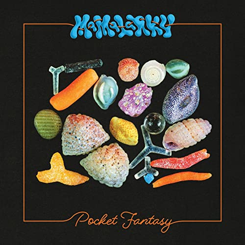 Pocket Fantasy [Vinyl LP] von Fire Talk Records