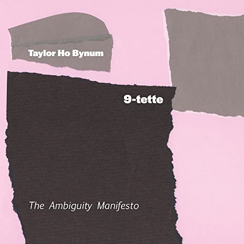 Ambiguity Manifesto [Vinyl LP] von Firehouse 12 Records