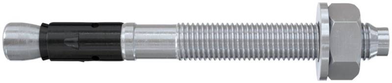 50 Stk. Fischer Deutschl. Bolzenanker FAZ II Plus 8/30 564575 von Fischer Deutschl.