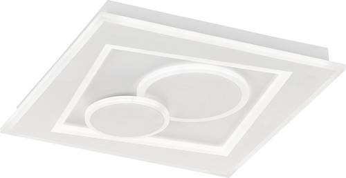 Fischer & Honsel 20985 Ratio Deckenleuchte LED LED, Lichtquelle durch Elektrofachkraft austauschbar Fischer & Honsel 20985 Ratio Deckenleuchte LED LED, Lichtquelle durch Elektrofachkraft austauschbar von Fischer & Honsel