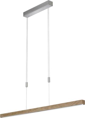 Fischer & Honsel 60283 Pendelleuchte LED LED, Lichtquelle durch Elektrofachkraft austauschbar 24W Ni Fischer & Honsel 60283 Pendelleuchte LED LED, Lichtquelle durch Elektrofachkraft austauschbar 24W Ni von Fischer & Honsel
