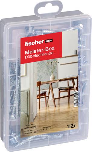 Fischer Meister-Box 553348 1 Set von Fischer